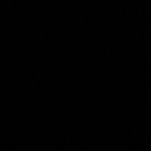 Meet your Posher, Delanee